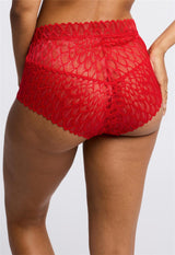 Lacy High Waist Brief